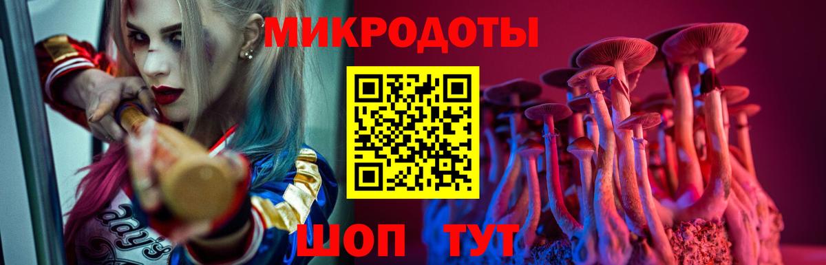 Псилоцибиновые грибы Cubensis  Вход с VPN  Санкт-Петербург  Псилоцибиновые грибы мухоморы 